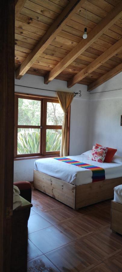 Cabanas Los Cactus 2 Huasca de Ocampo Extérieur photo