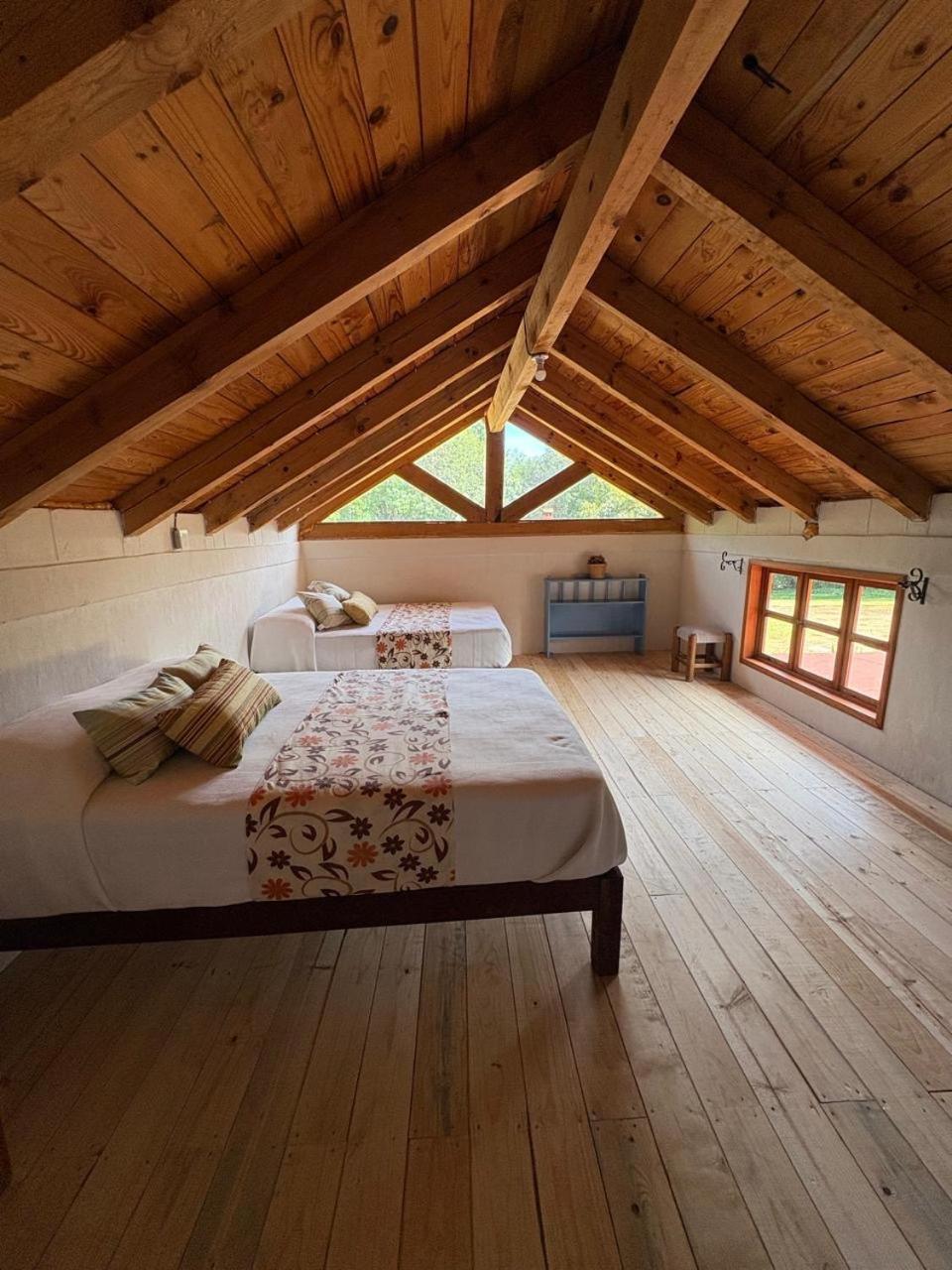 Cabanas Los Cactus 2 Huasca de Ocampo Extérieur photo