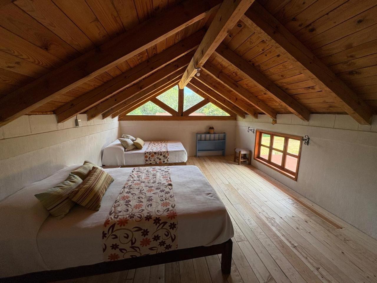 Cabanas Los Cactus 2 Huasca de Ocampo Extérieur photo